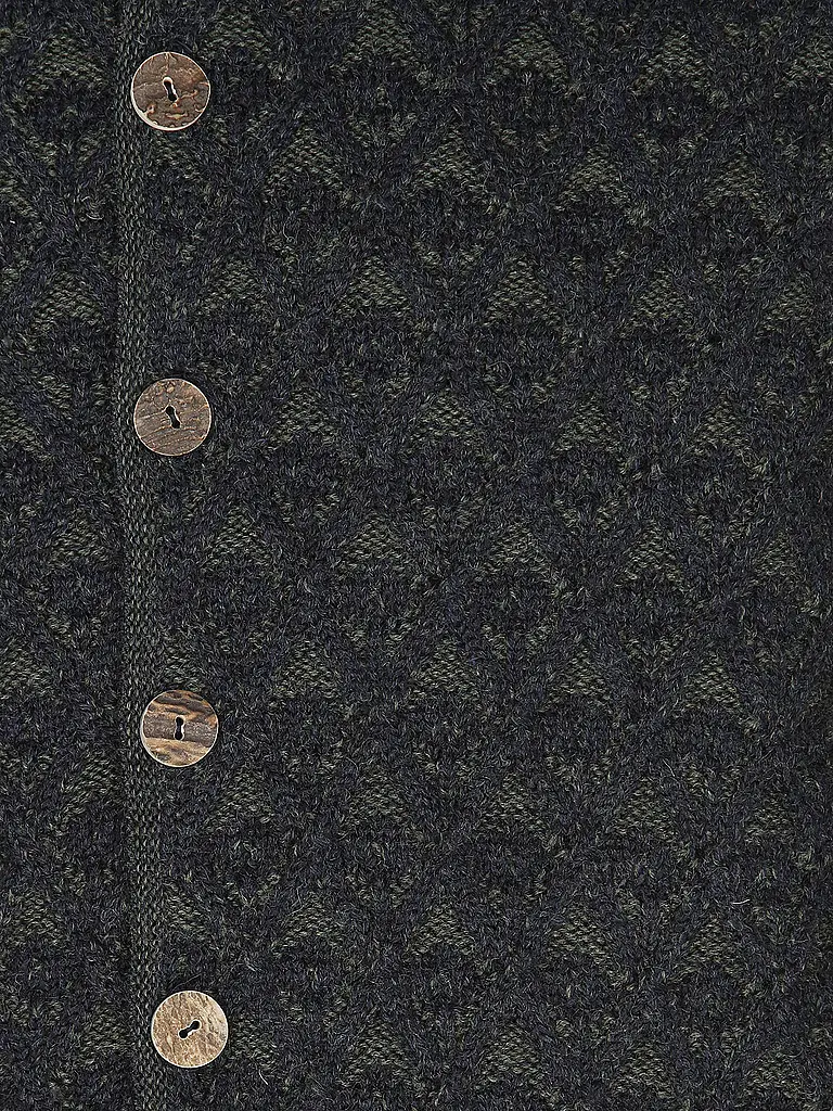 GOTTSEIDANK | Trachtenjacke SIMON | Blau