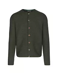 GOTTSEIDANK | Trachten Strickjacke ALOISIUS  | grün