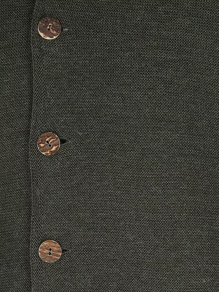 GOTTSEIDANK | Trachtenstrickjacke ALOISIUS | grün