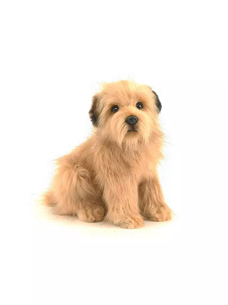 HANSA | Plüschtier Norfolk Terrier | transparent
