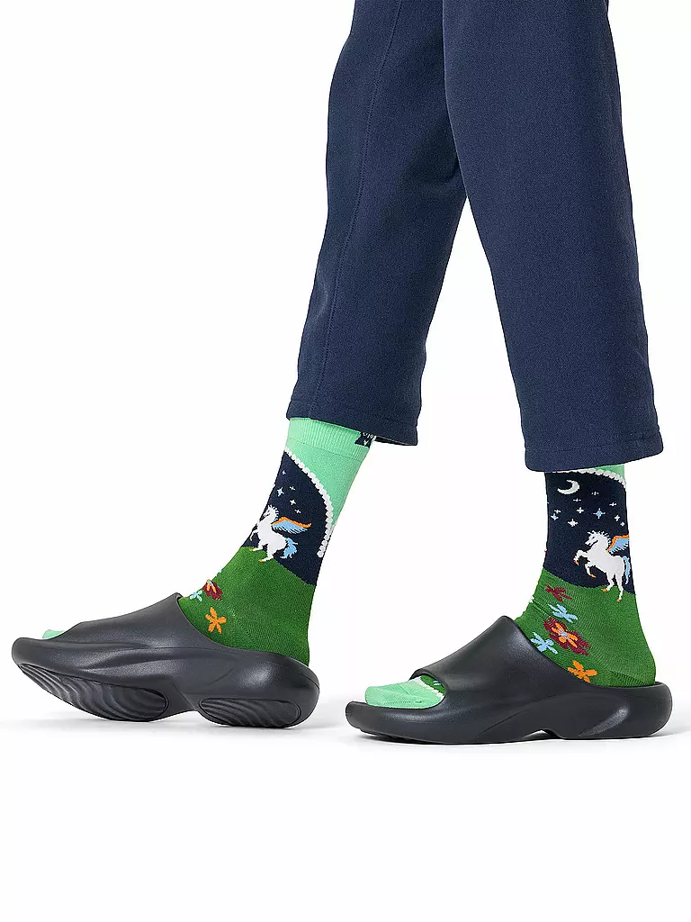 HAPPY SOCKS | Damen Socken PEGASUS LAND 36-40 light green | grün