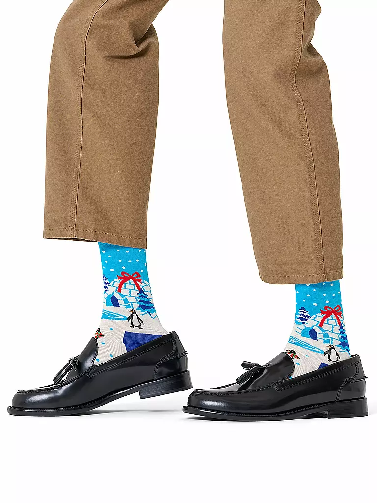 HAPPY SOCKS | Herren Socken IGLOO 41-46 white | Weiss