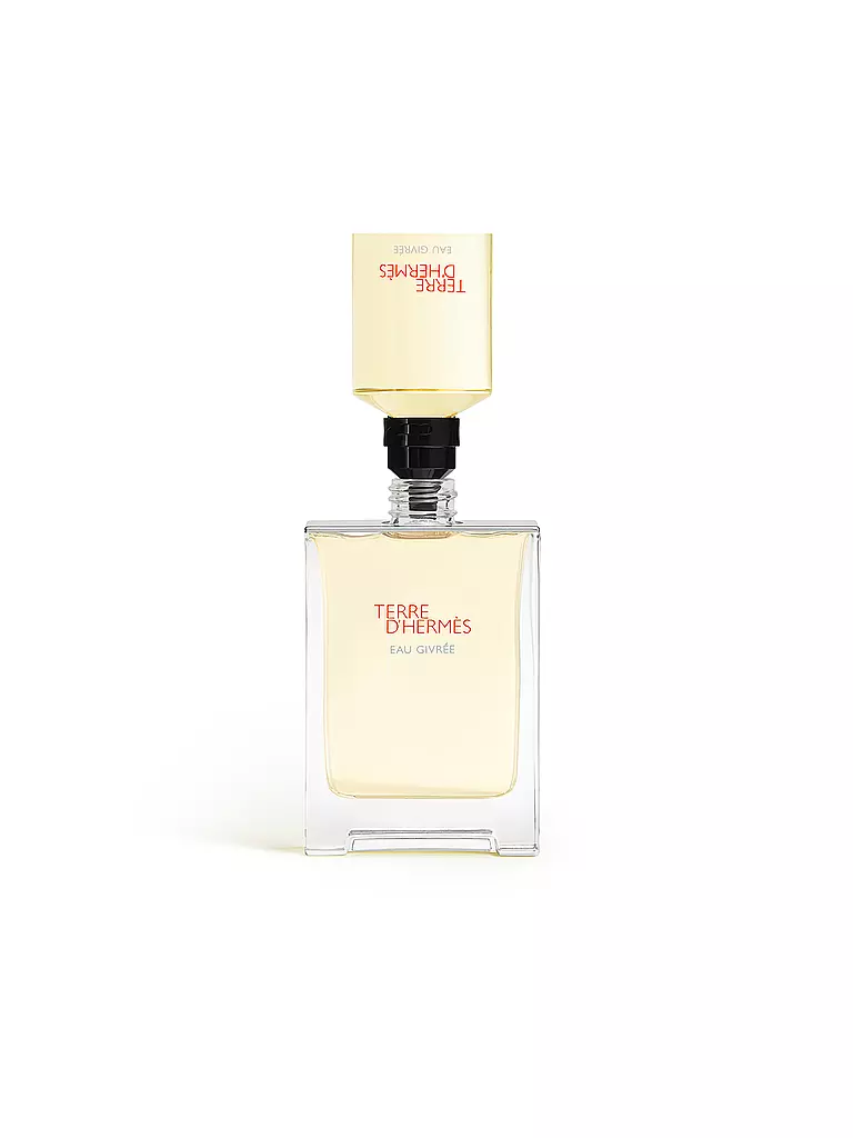 HERMÈS | Terre d'Hermès Eau Givrée Eau de Parfum Refill 125ml | keine Farbe