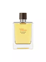 HERMÈS | Terre d’Hermès Eau Intense Vétiver Eau de Parfum 100ml | keine Farbe