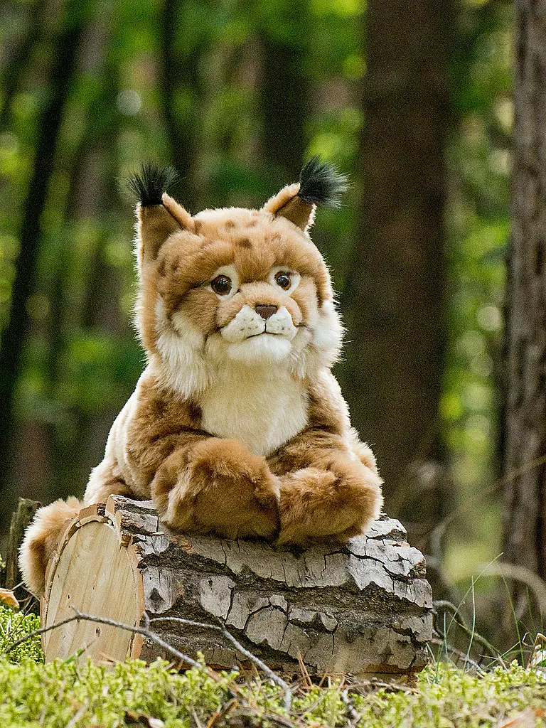 HERMANN TEDDY | Plüschtier - Luchs liegend 45cm | beige