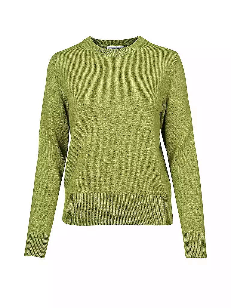 HESSNATUR | Pullover  | grün
