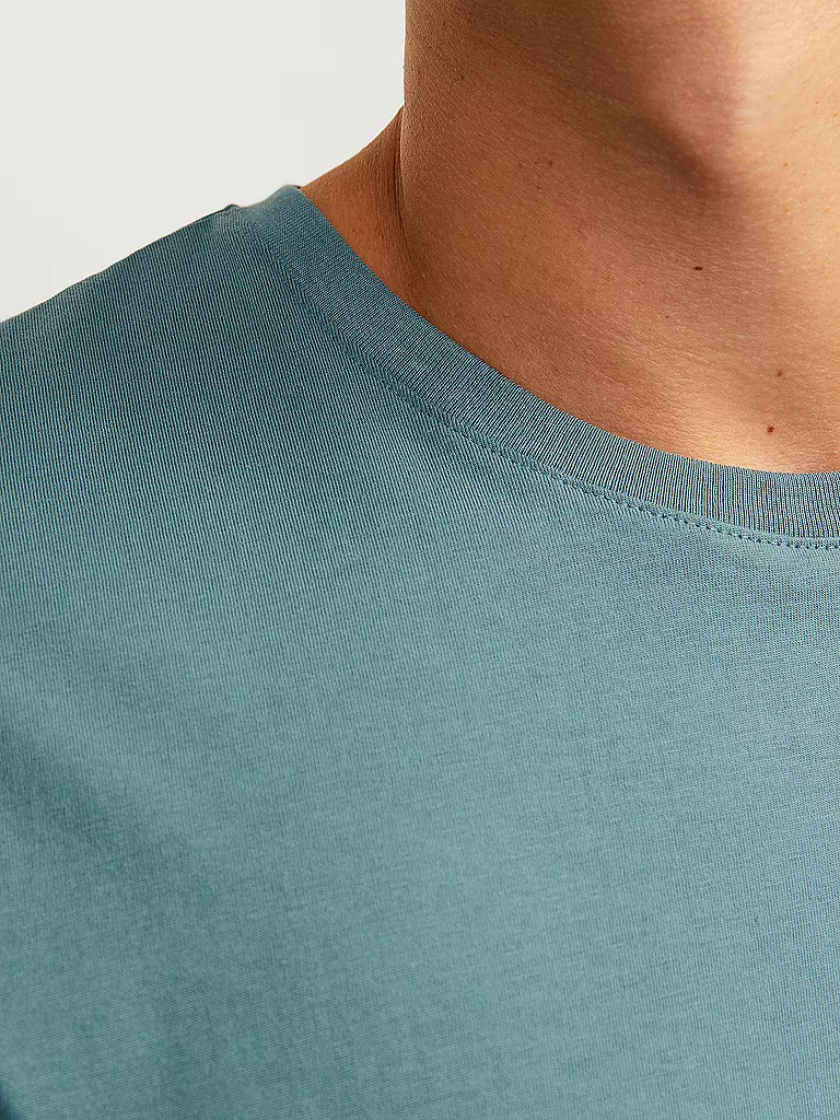 JACK & JONES | T-Shirt JJEORGANIC | hellgrau