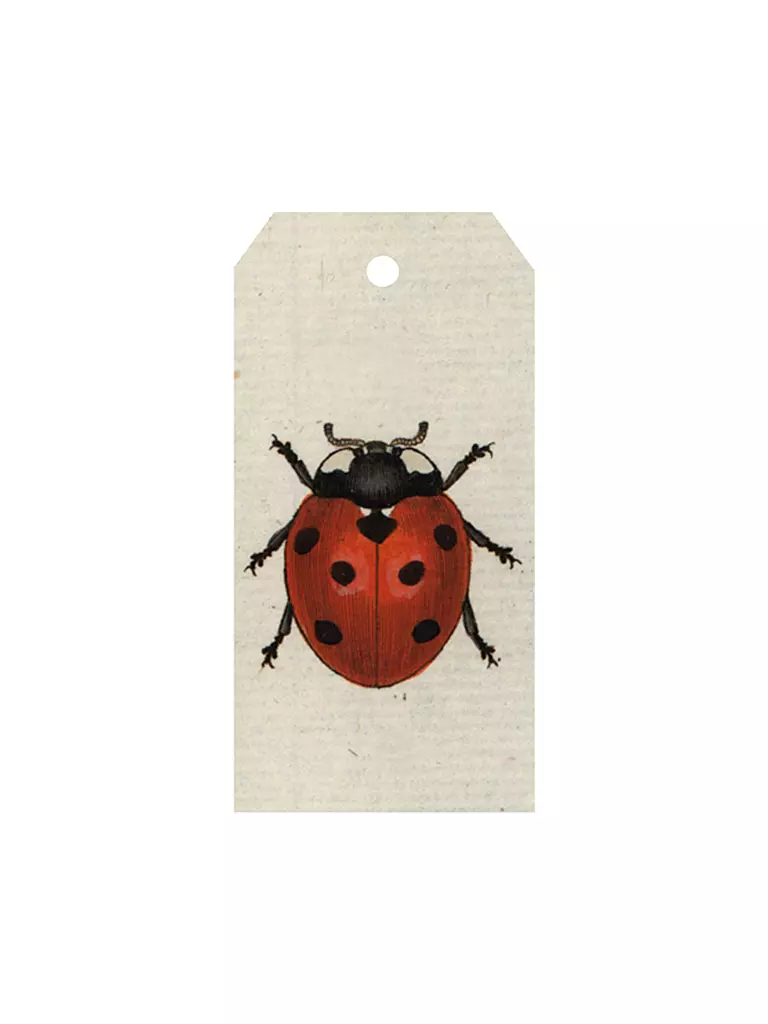 JOHN DERIAN | Geschenkanhänger "Red Ladybug" | bunt