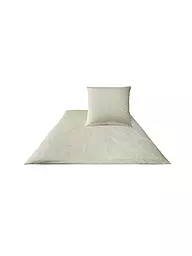 JOOP | Satin Bettwäsche Cornflower 70x90cm / 140x220cm Weiss | creme