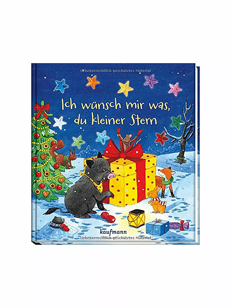 KAUFMANN VERLAG | Buch - Ich wünsch mir was, du kleiner Stern (Pappbilderbuch) | transparent