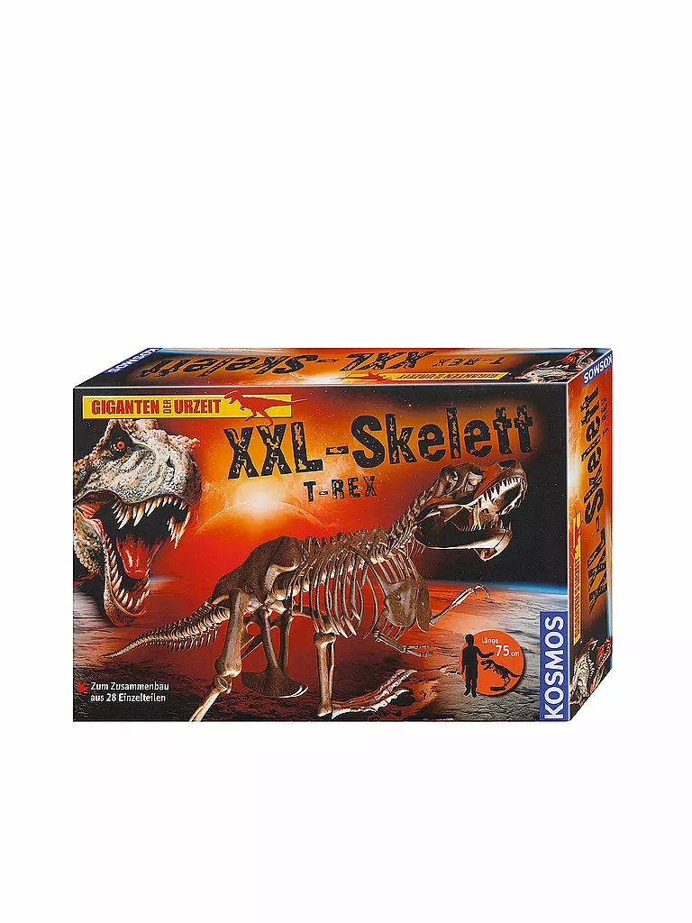 KOSMOS | Experiment -  XXL-Skelett Tyrannosaurus Rex | transparent