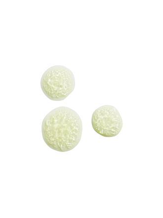 L'OCCITANE | Citrus Verveine Erfrischungsspray 50ml
