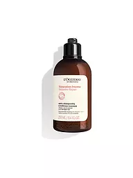 L'OCCITANE | Intensive Repair Conditioner 250ml | Keine Farbe