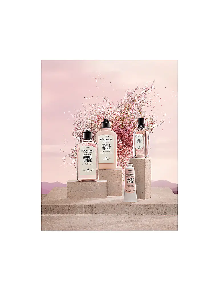 L'OCCITANE | Noble Épine Duschgel 250ml | Keine Farbe