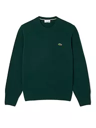 LACOSTE | Pullover  | dunkelgrün