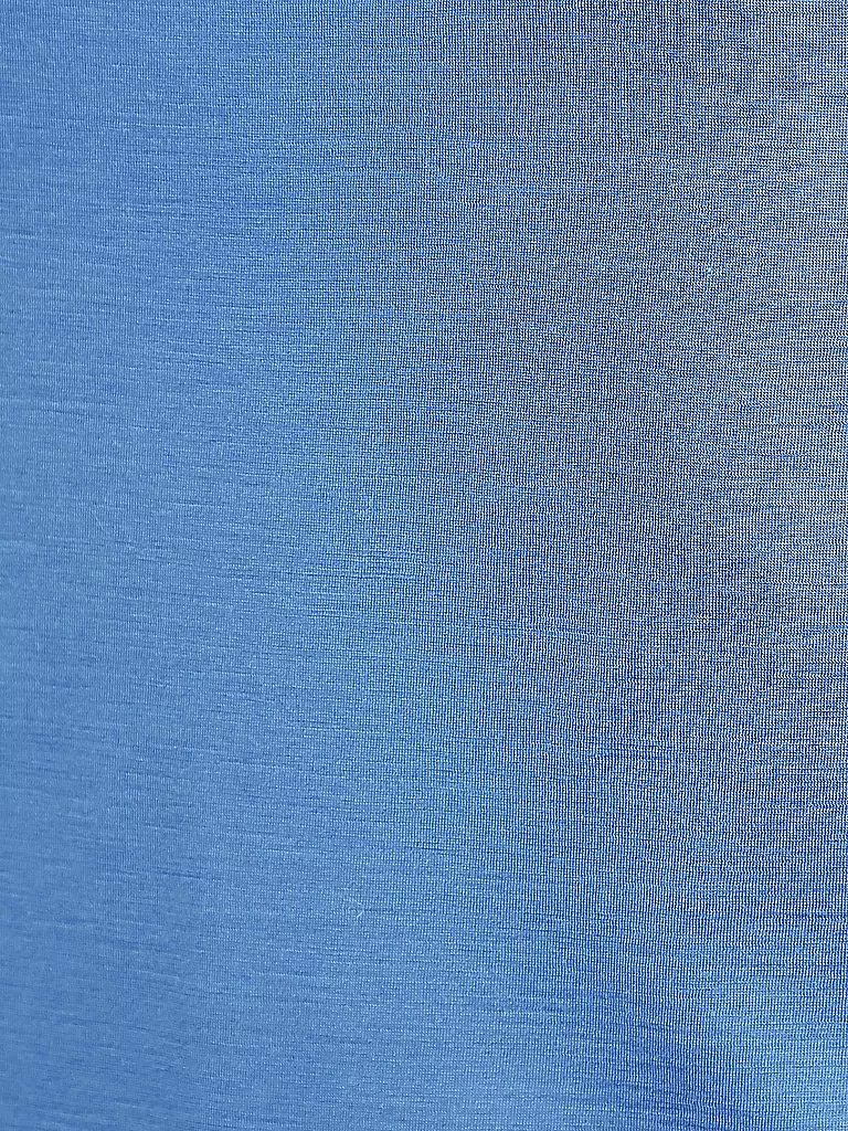 LANIUS | Langarmshirt | blau