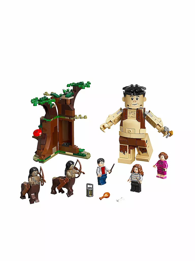 LEGO | Harry Potter™ - Der Verbotene Wald: Begegnung mit Umbridge 75967 | keine Farbe