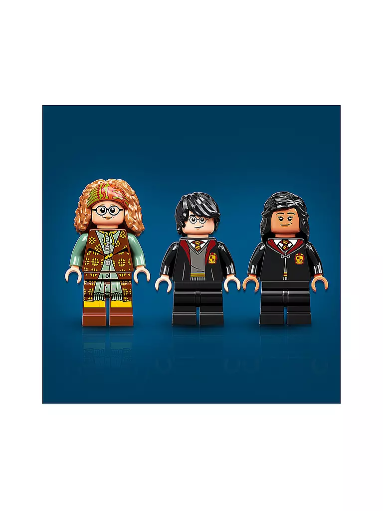 LEGO | Harry Potter - Hogwarts™ Moment: Wahrsageunterricht 76396 | keine Farbe