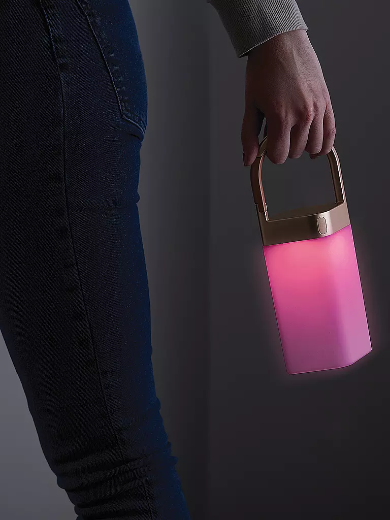 LEXON | LED Hängelampe HORIZON 20cm Gold | grau