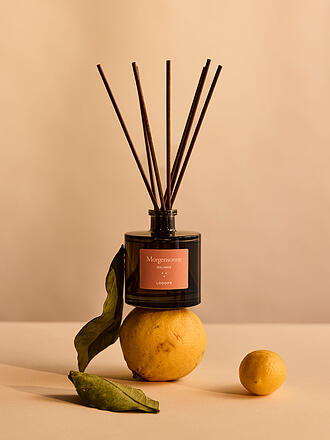 LOOOPS | Diffusser mit Stäbchen 100ml Morgensonne 