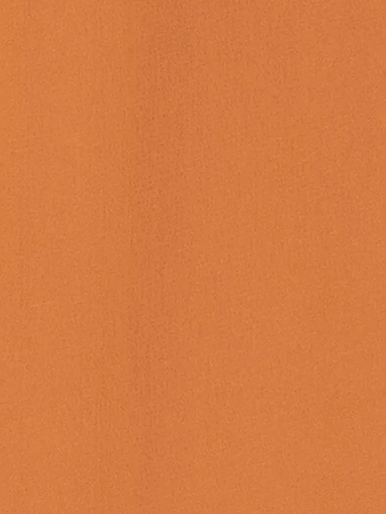 LUISA CERANO | Bluse | orange