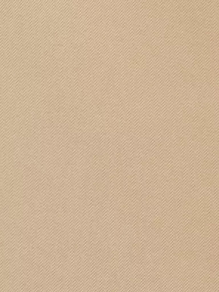 LUISA CERANO | Maxirock | beige