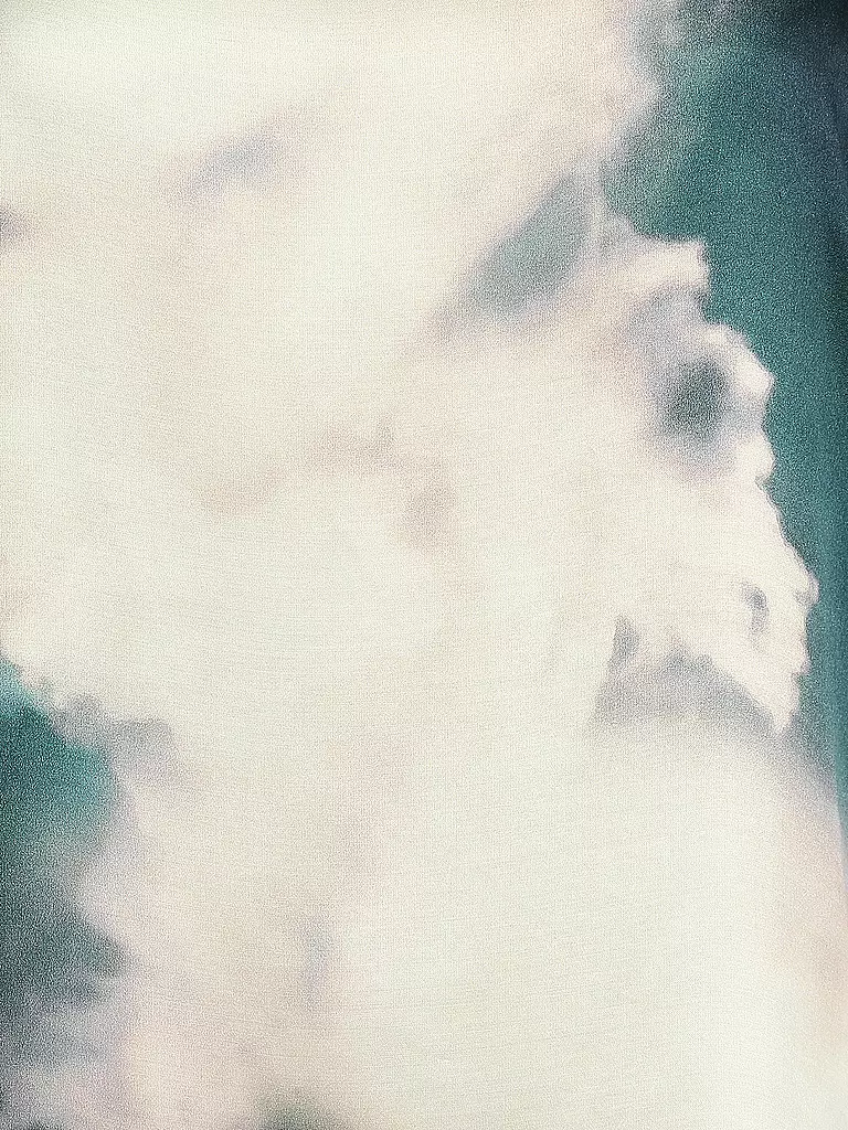 MARC O'POLO | Bluse | grün