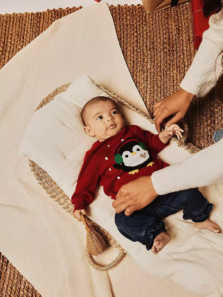 NAME IT | Baby Pullover NBFRADEER | rot