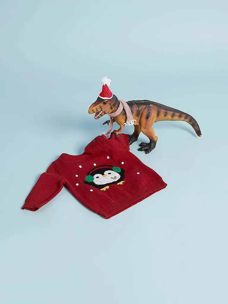 NAME IT | Baby Pullover NBFRADEER | rot
