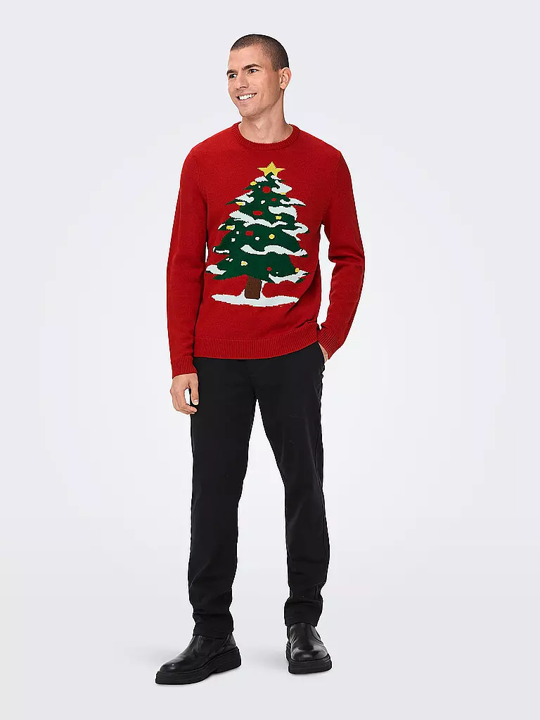 ONLY & SONS | Pullover ONSXMAS | rot