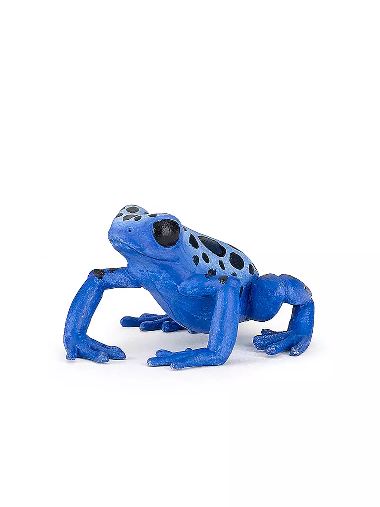 PAPO | Blauer Äquatorial Frosch | keine Farbe