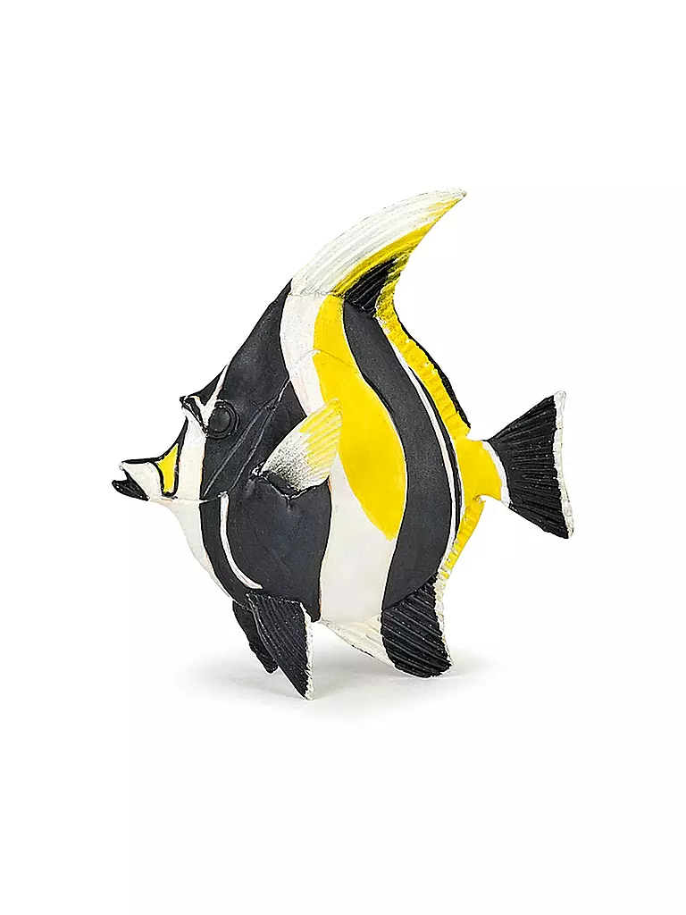PAPO | Halfterfisch | keine Farbe