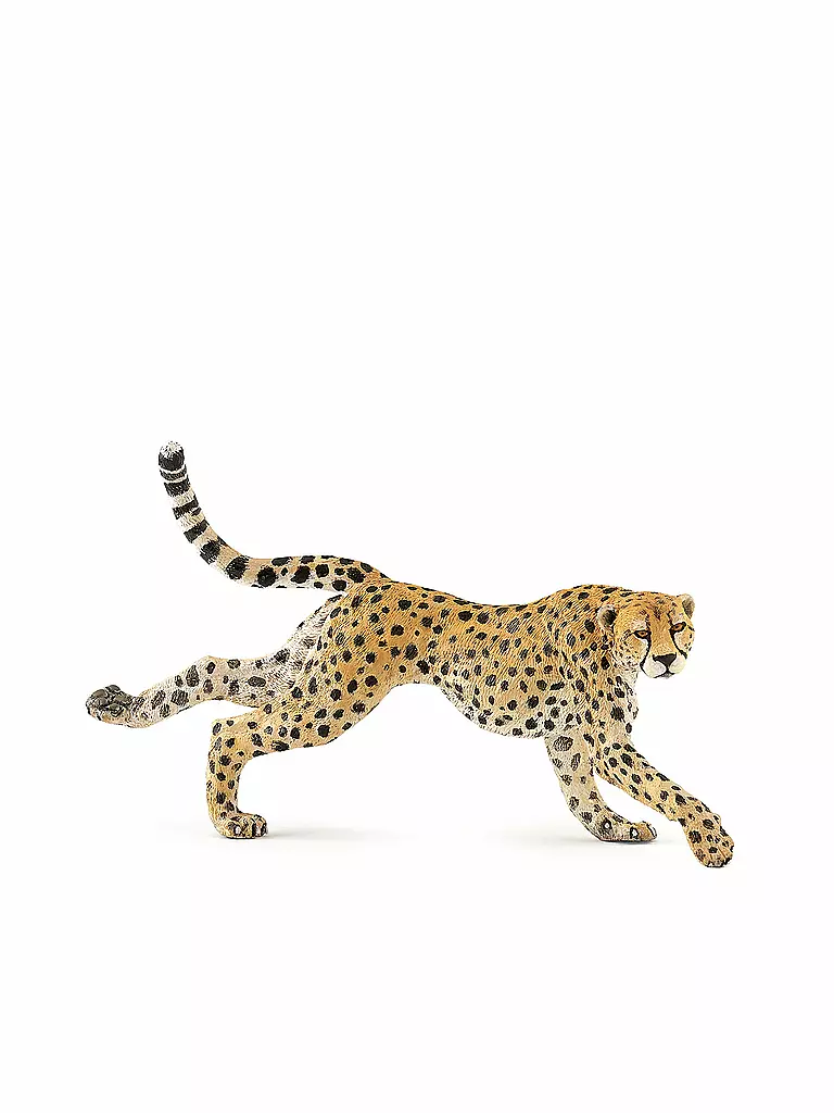 PAPO | Laufende Gepardin | keine Farbe