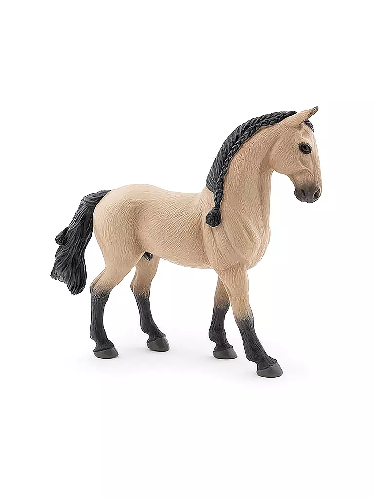 PAPO | Lusitano Pferd | keine Farbe