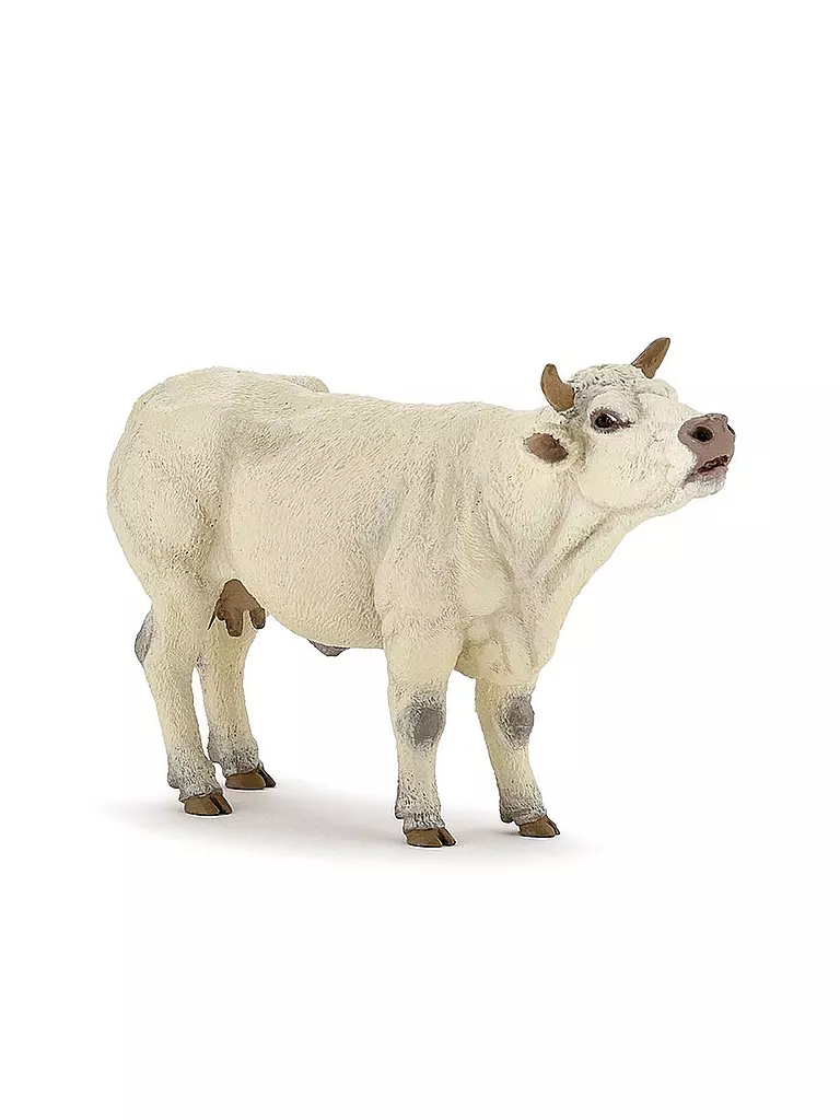 PAPO | Muhendes Charolais Kalb | keine Farbe