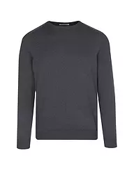 PHIL PETTER | Kaschmirpullover | grau