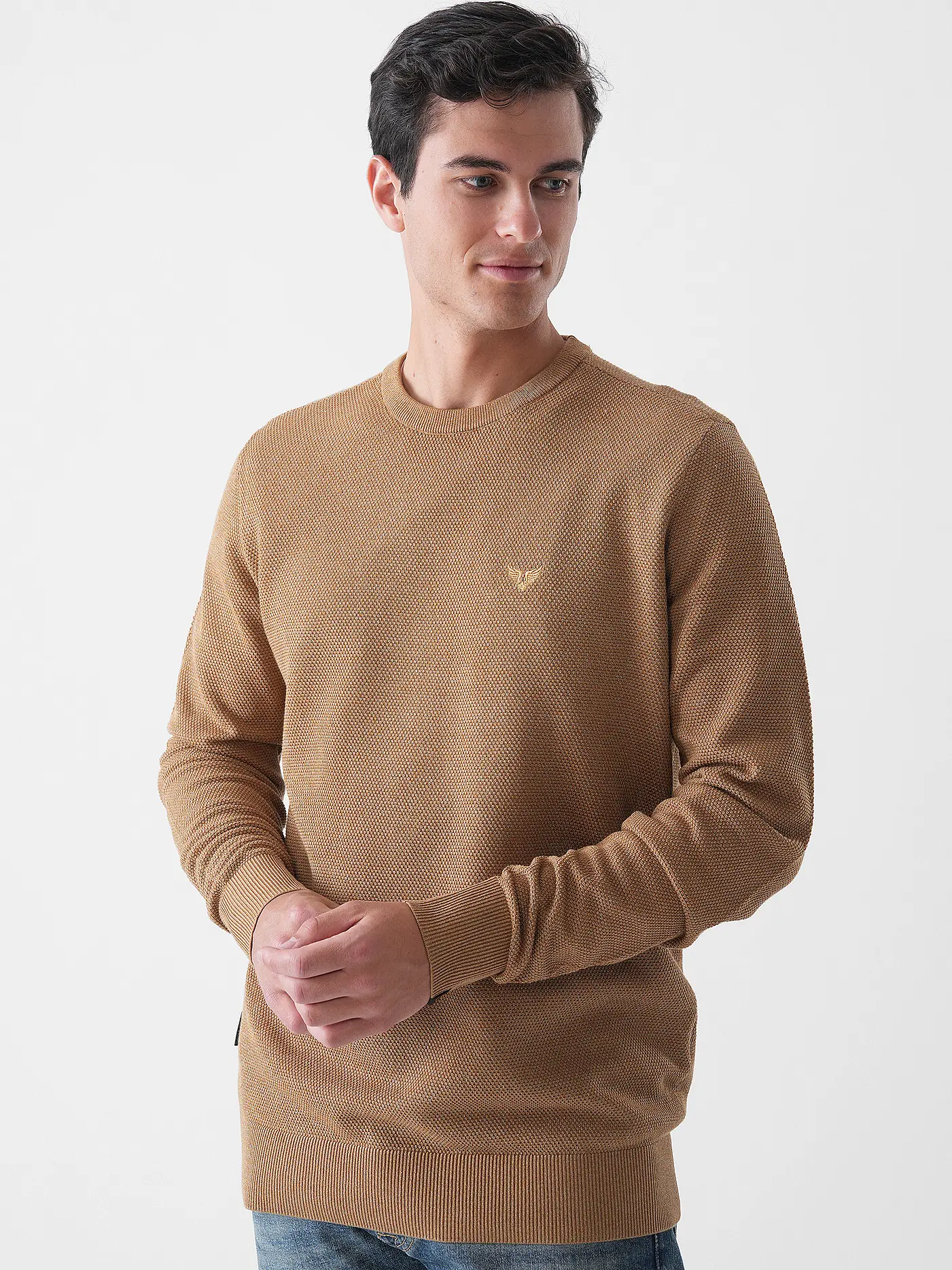 PME LEGEND | Pullover  | braun
