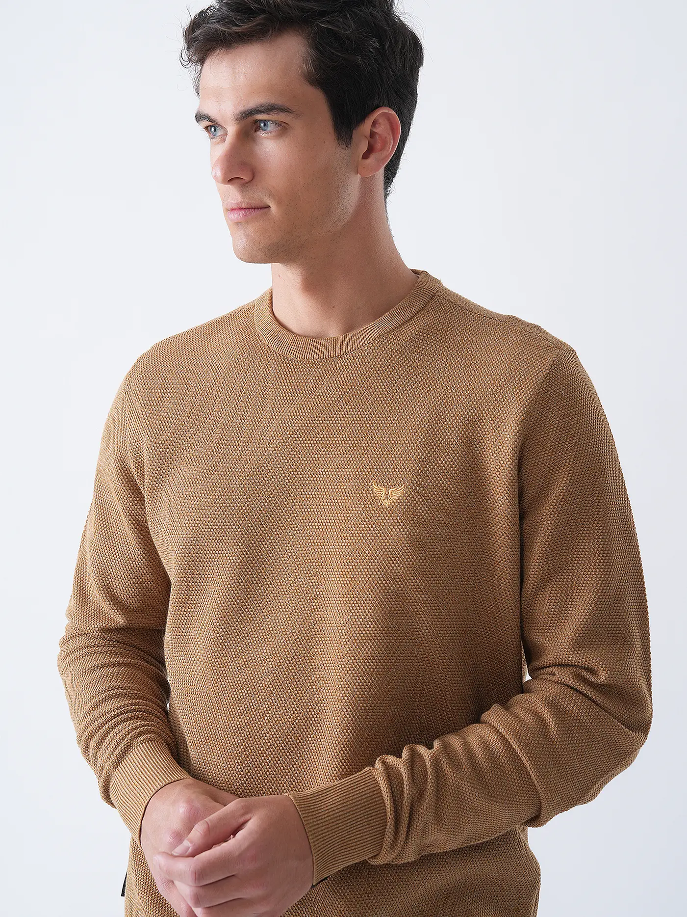 PME LEGEND | Pullover  | braun