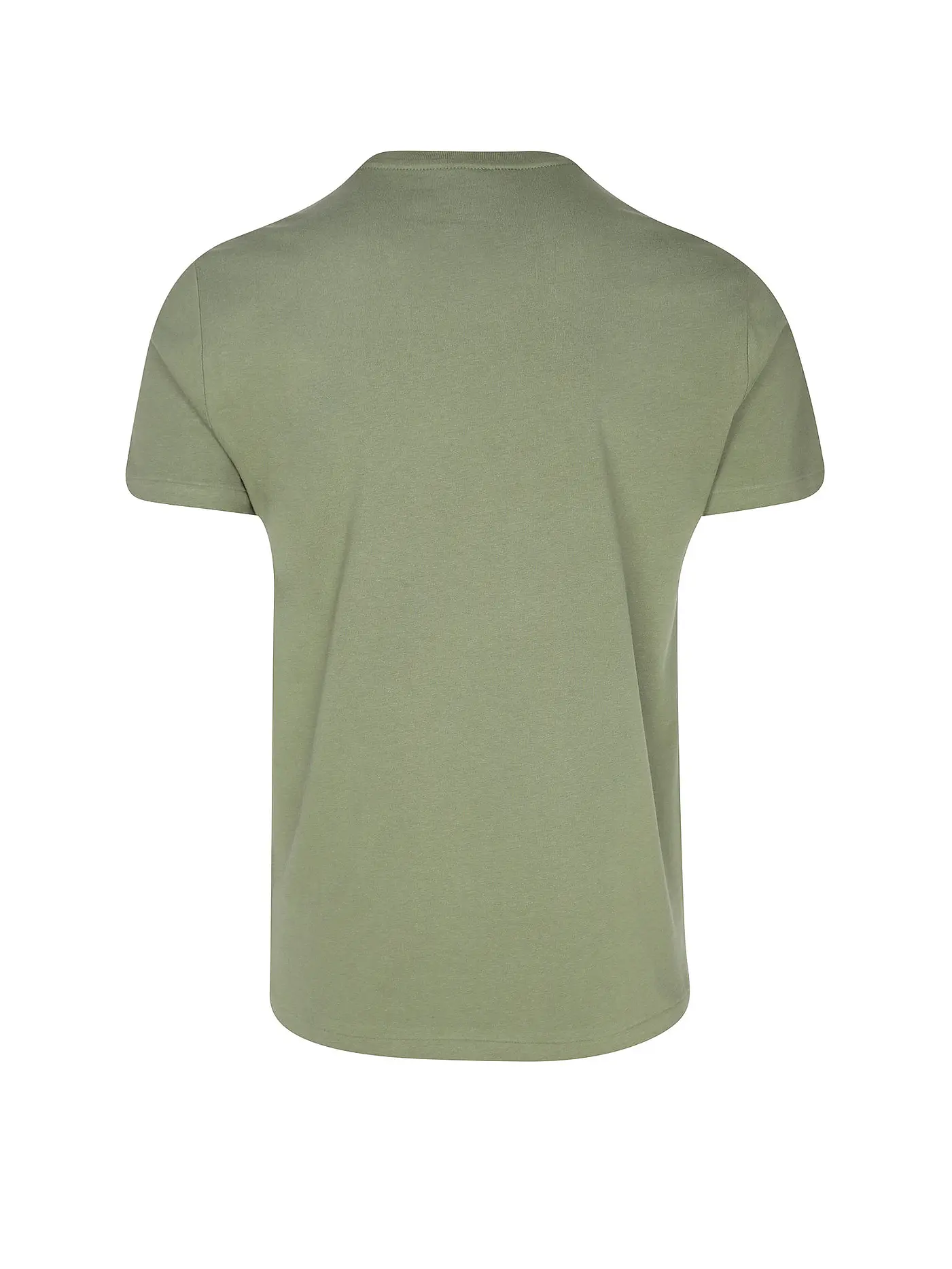 POLO RALPH LAUREN | T Shirt Custom Slim Fit | olive