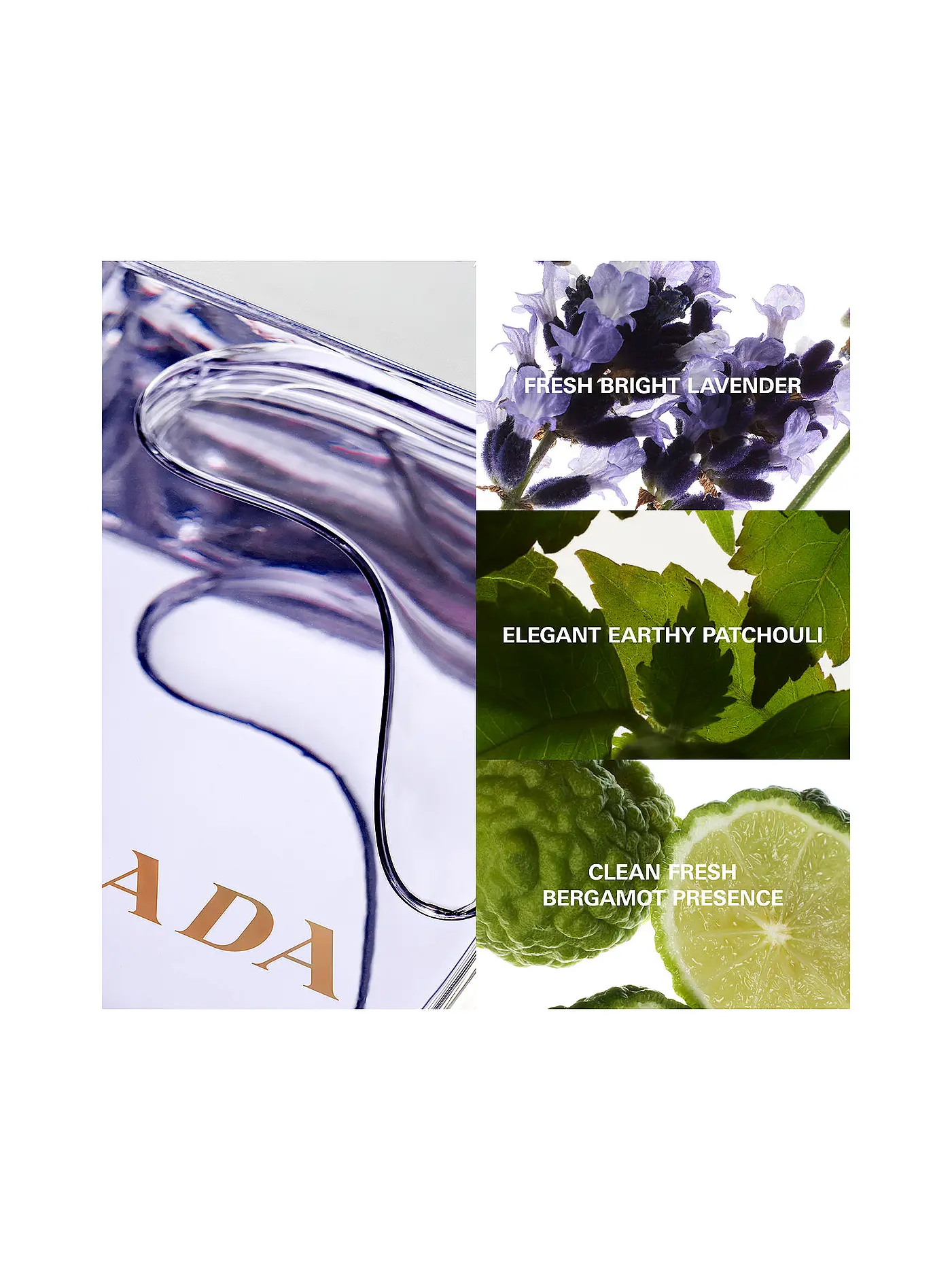 PRADA | Amber pour Homme Eau de Toilette Spray 100ml | keine Farbe