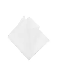 PROFUOMO | Stecktuch  | weiss