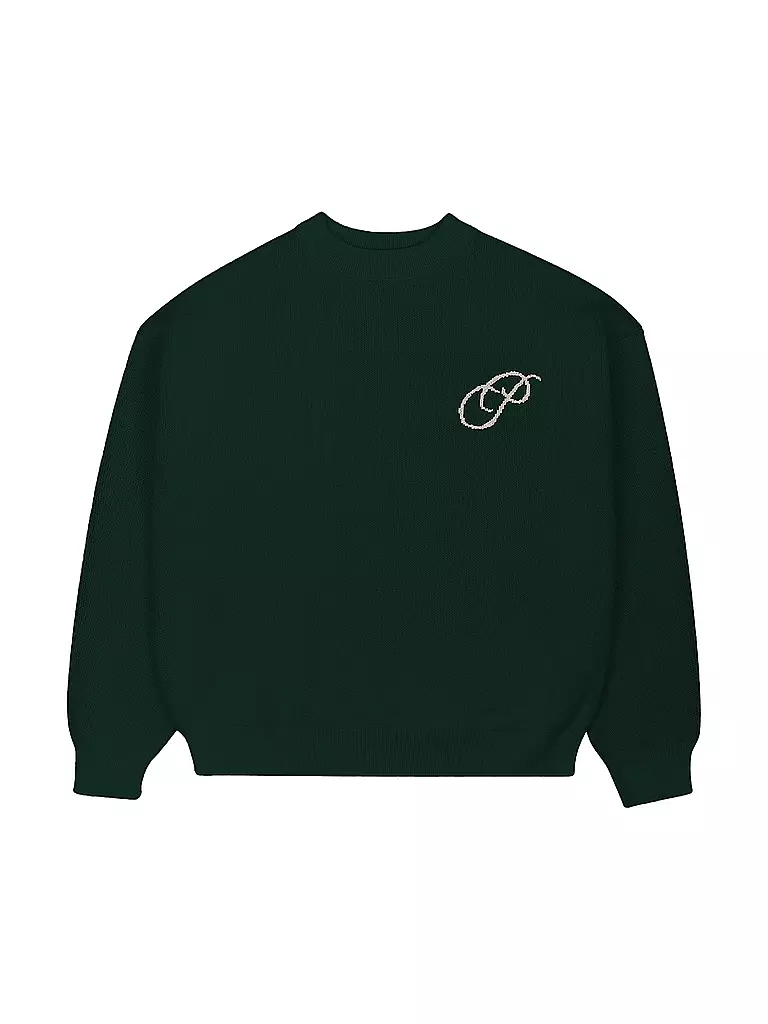 PROHIBITED | Pullover INITIAL  | dunkelgrün