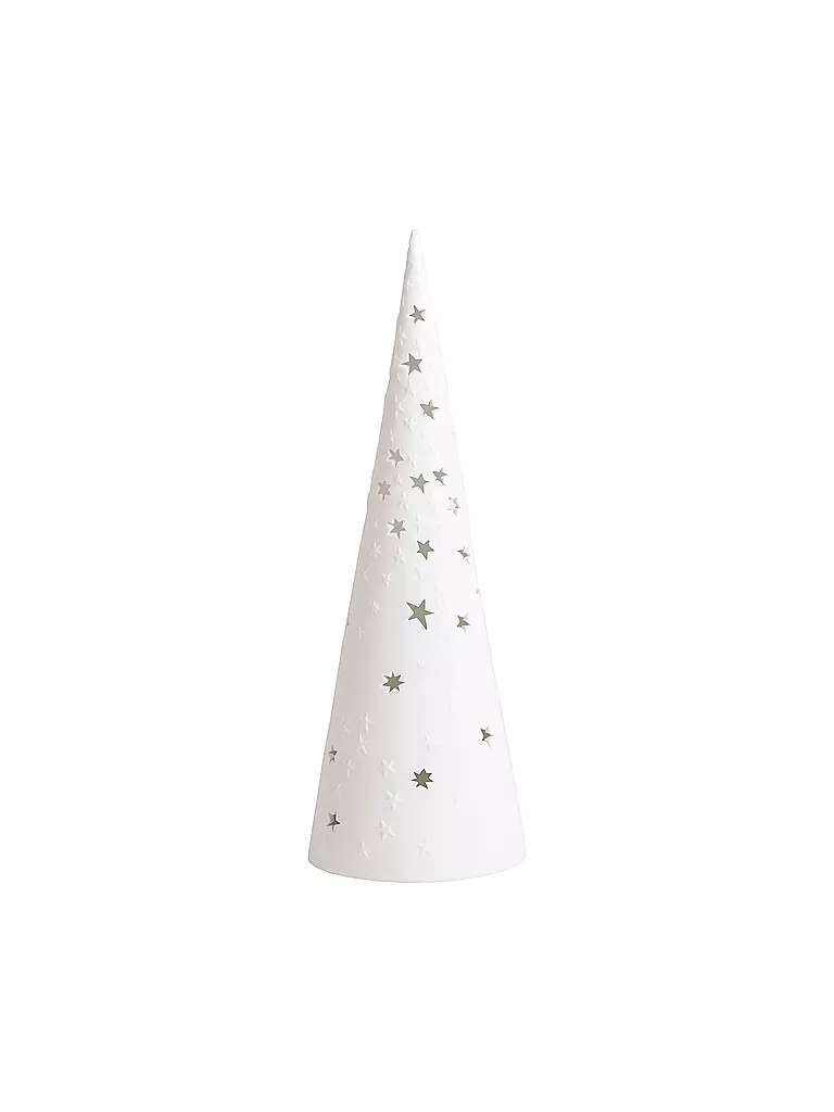 RAEDER | Weihnachtsbäumchen Lichtwald 30cm LED Sterne | weiß