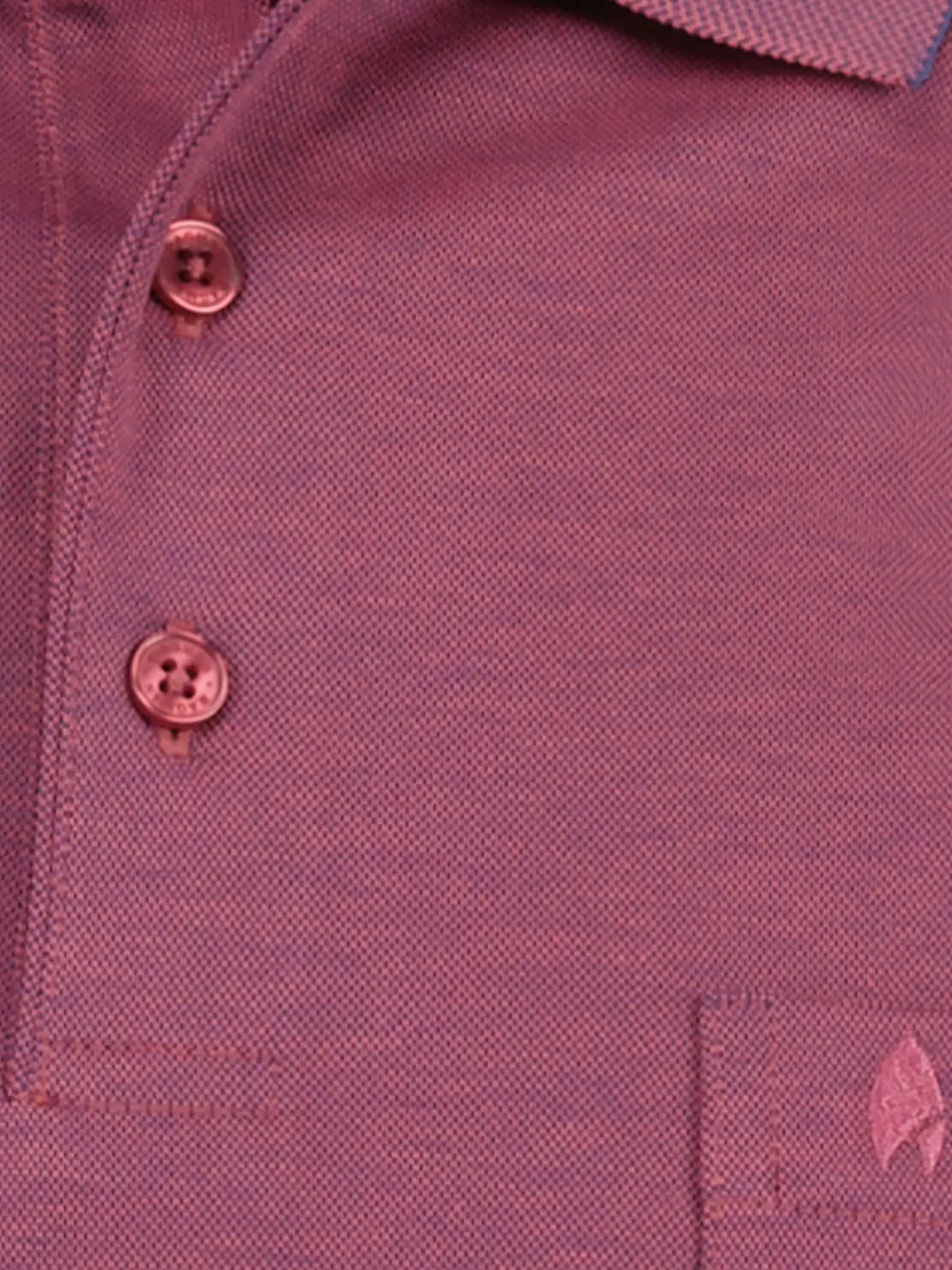 RAGMAN | Poloshirt  | beere