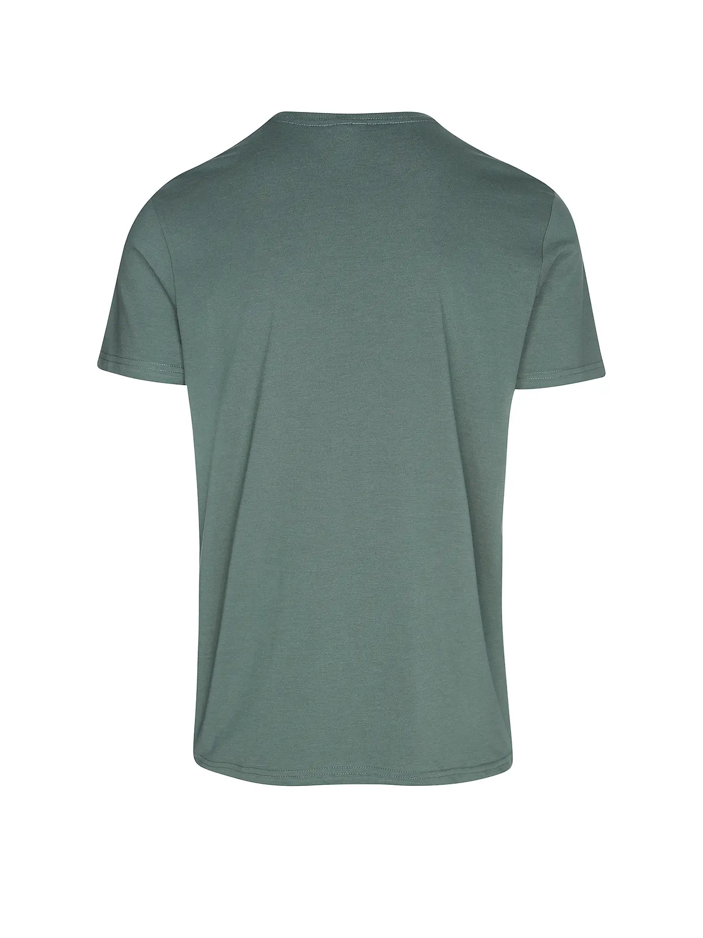 RAGWEAR | T-Shirt NEDIE | grün