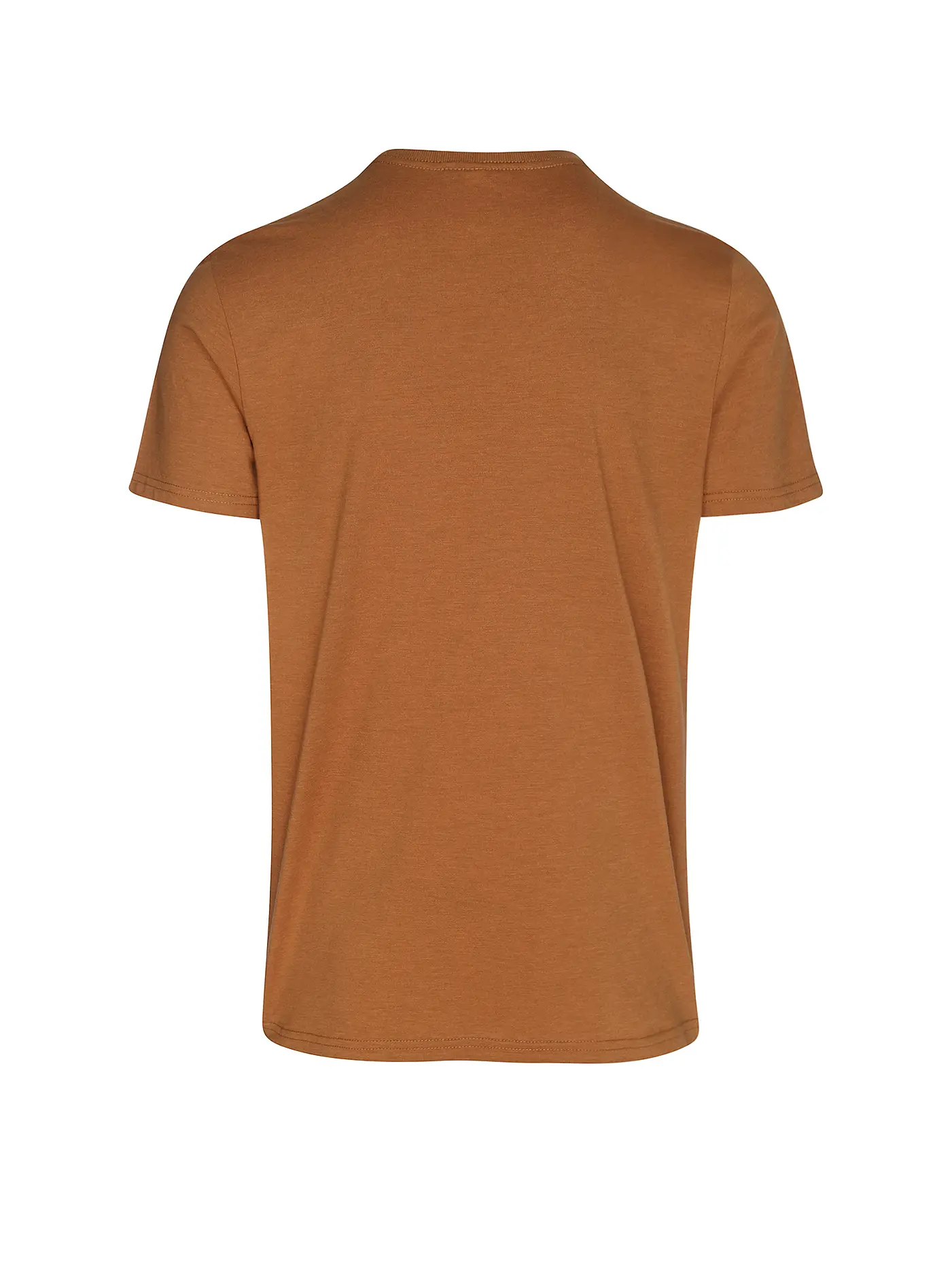 RAGWEAR | T-Shirt NEDIE | kupfer