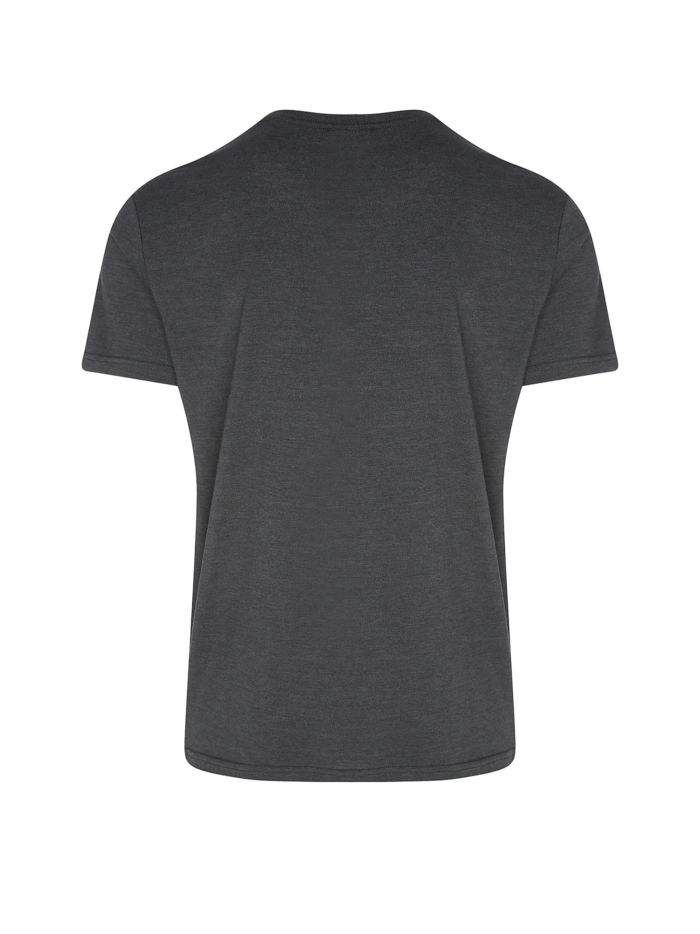 RAGWEAR | T-Shirt NEDIE | grau