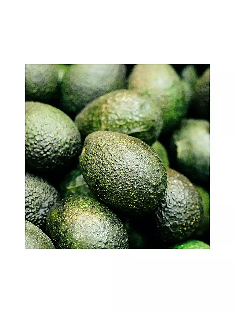 RAUSCH | Avocado FARBSCHUTZ-SPÜLUNG 200ml | keine Farbe