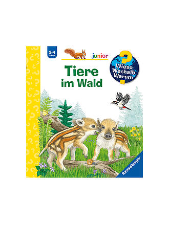RAVENSBURGER | Buch - Wieso Weshalb Warum Junior - Tiere im Wald, Patrizia Mennen