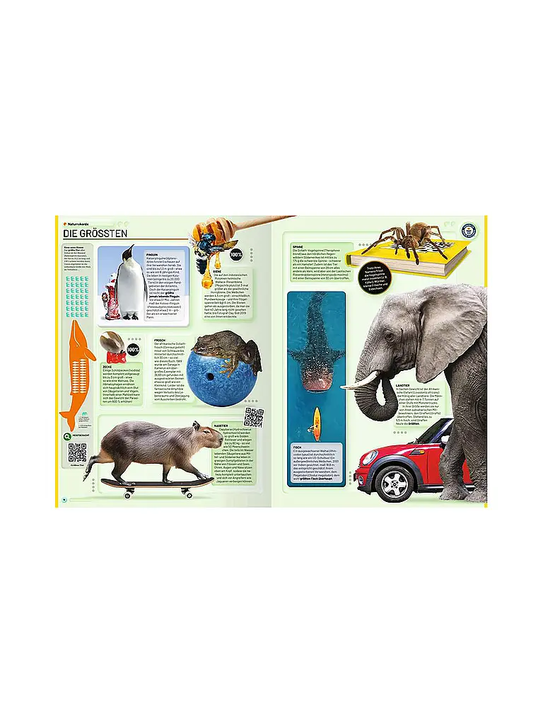RAVENSBURGER | Buch - Guinness World Records - 2026 | bunt